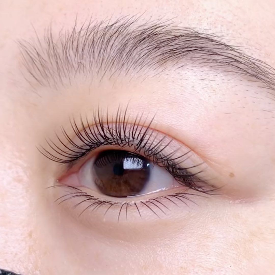 Mẫu nối mi tự nhiên người thật