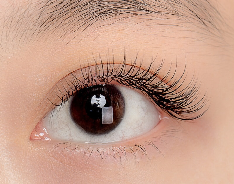 Mẫu nối mi classic tự nhiên